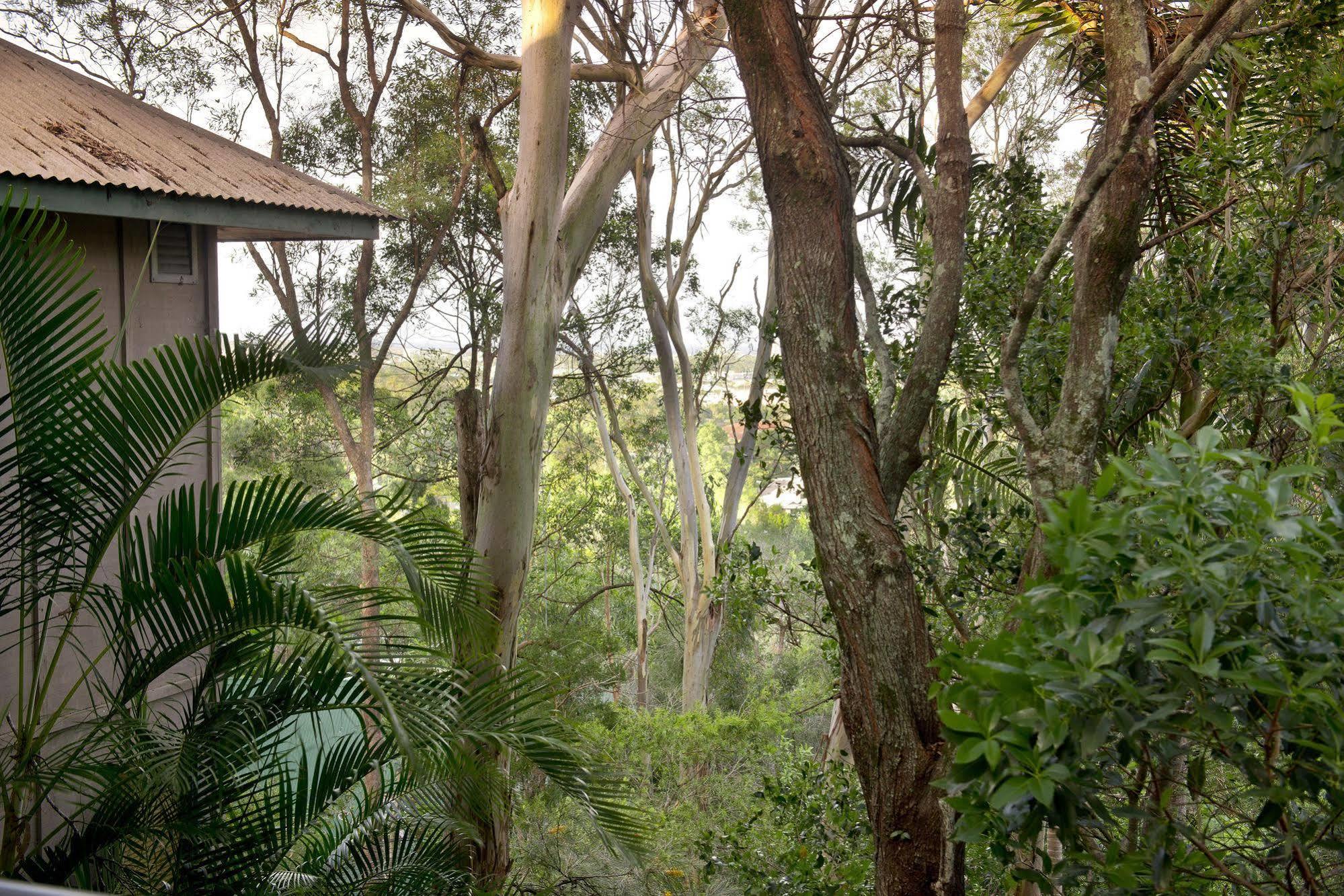 Arabella Guesthouse 亚历山德拉岬角 外观 照片